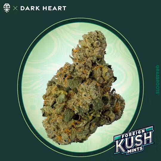 Photograph of product: Grassroots | Foreign Kush Mints | Oui'd | Flower | 3.5g