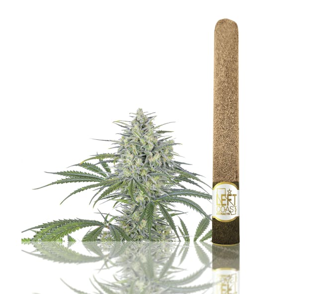 Photograph of product: Left Coast Blunt | 2.2g - Orange Creamsicle - Infused - 