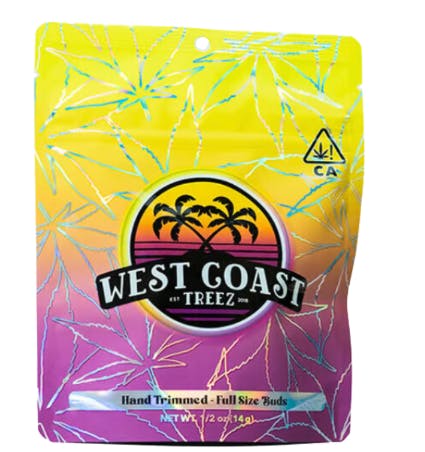 Photograph of product: Govermint Oasis (H) - 14G Classics - Retail