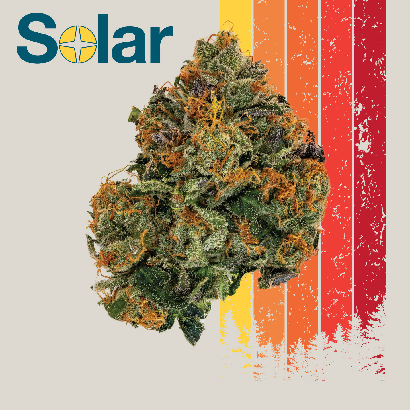 Photograph of product: Zlush Runtz | Solar | 3.5g