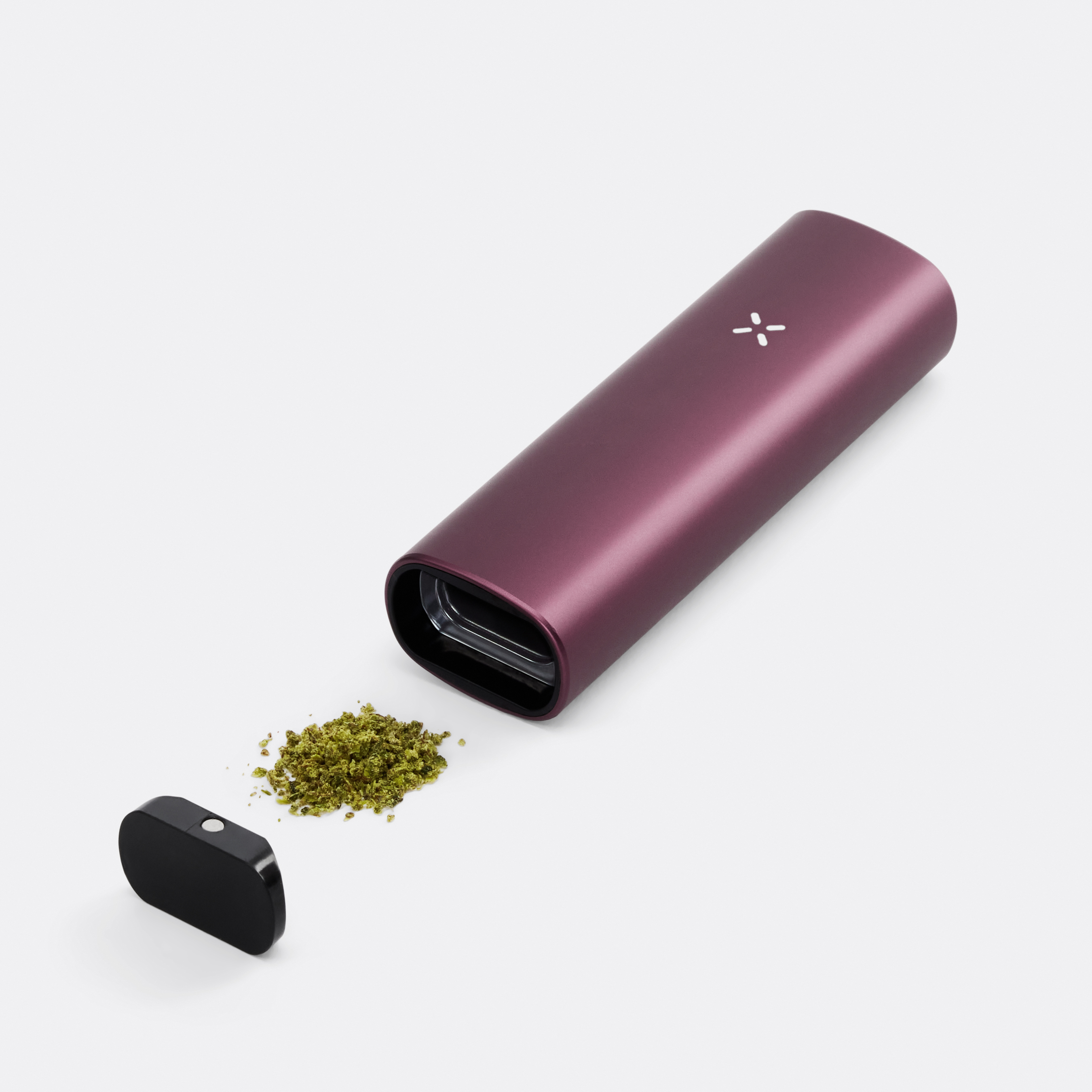 Photograph of product: PAX Plus Elderberry