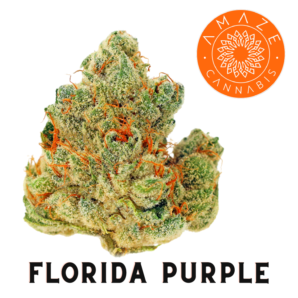 Photograph of product: 3.5g | Florida Purple