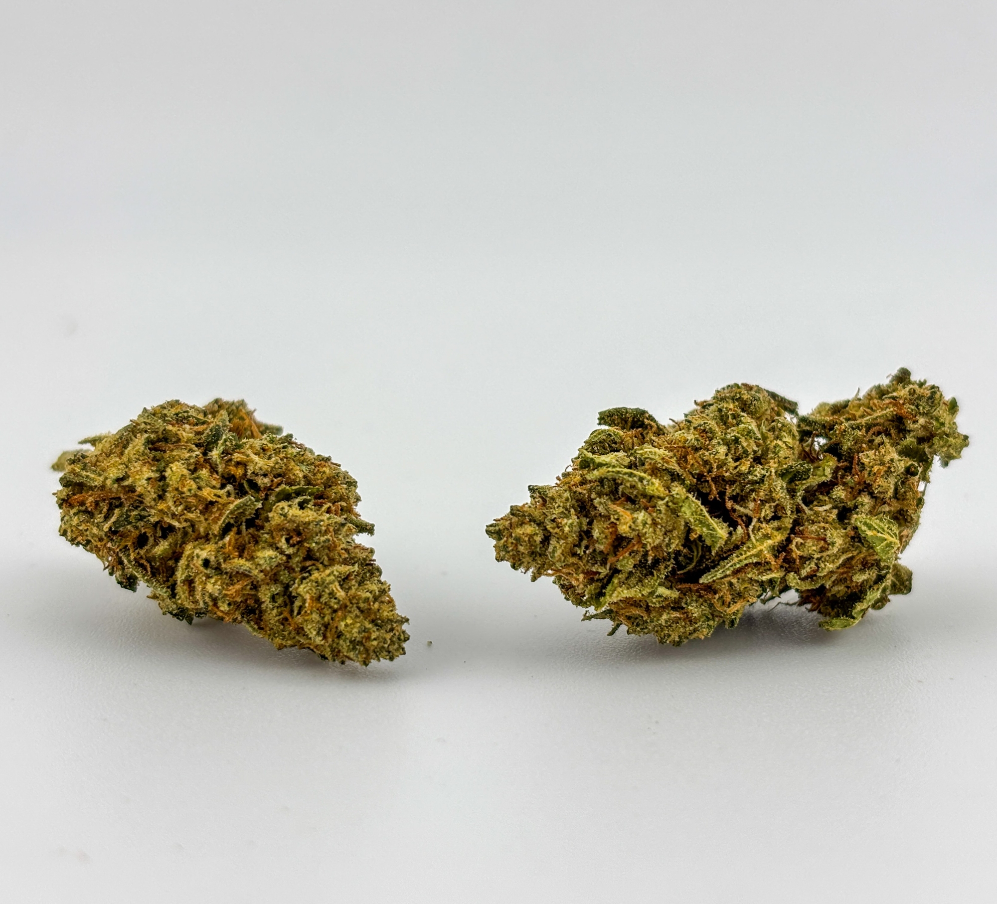Photograph of product: Williams Wonder | Haze (6794)