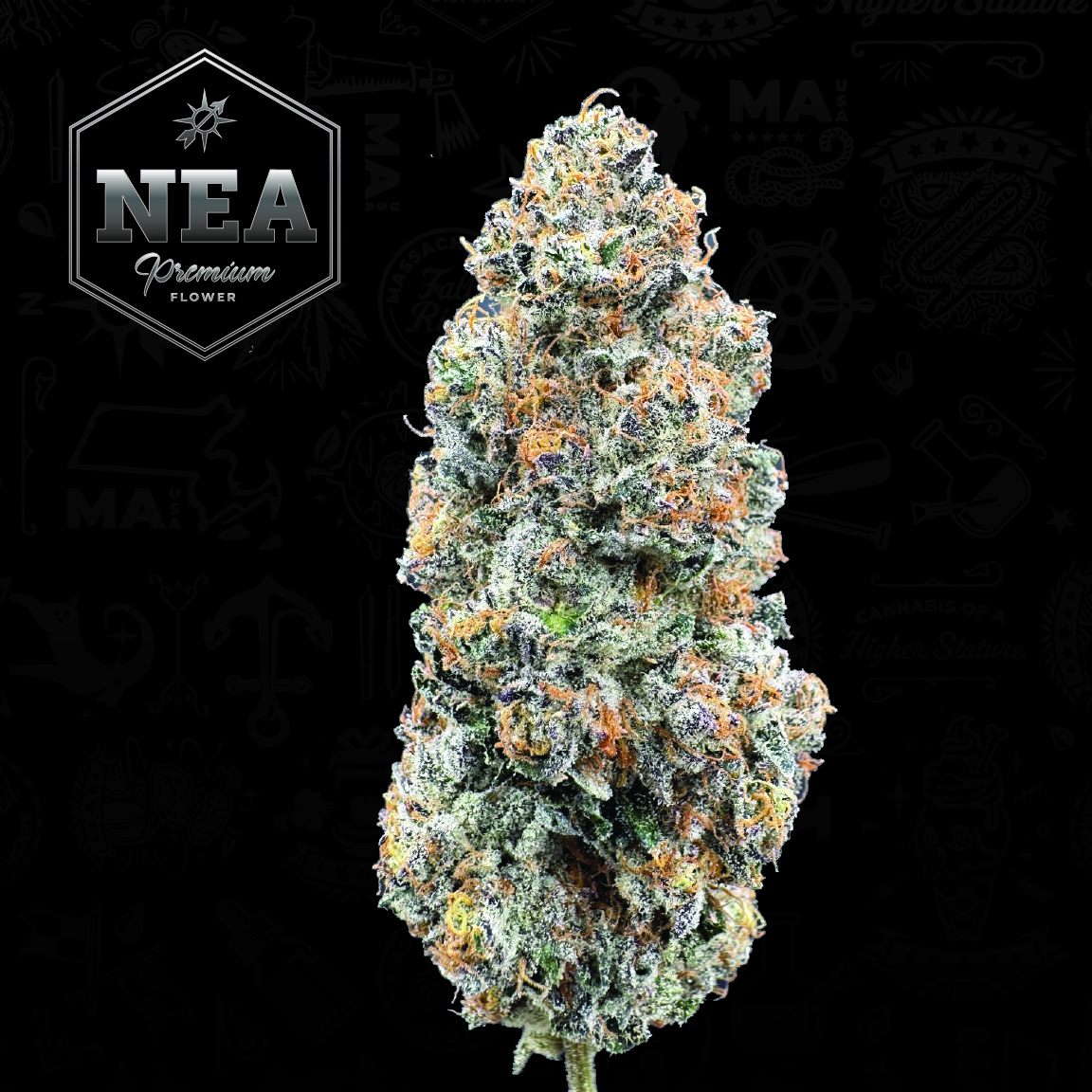 Photograph of product: Sherbert Honey (S) - 3.5g