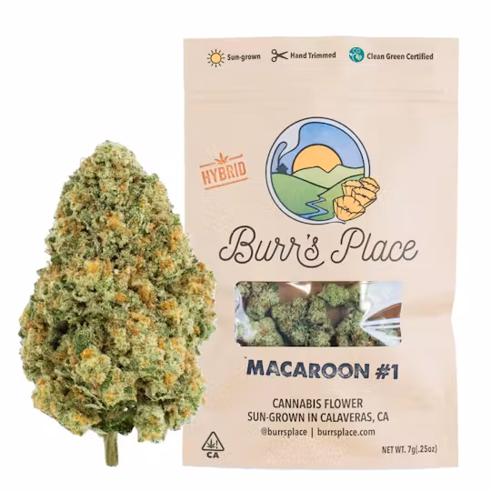 Photograph of product: Burr's Place - Flower - Macaroon - 7g
