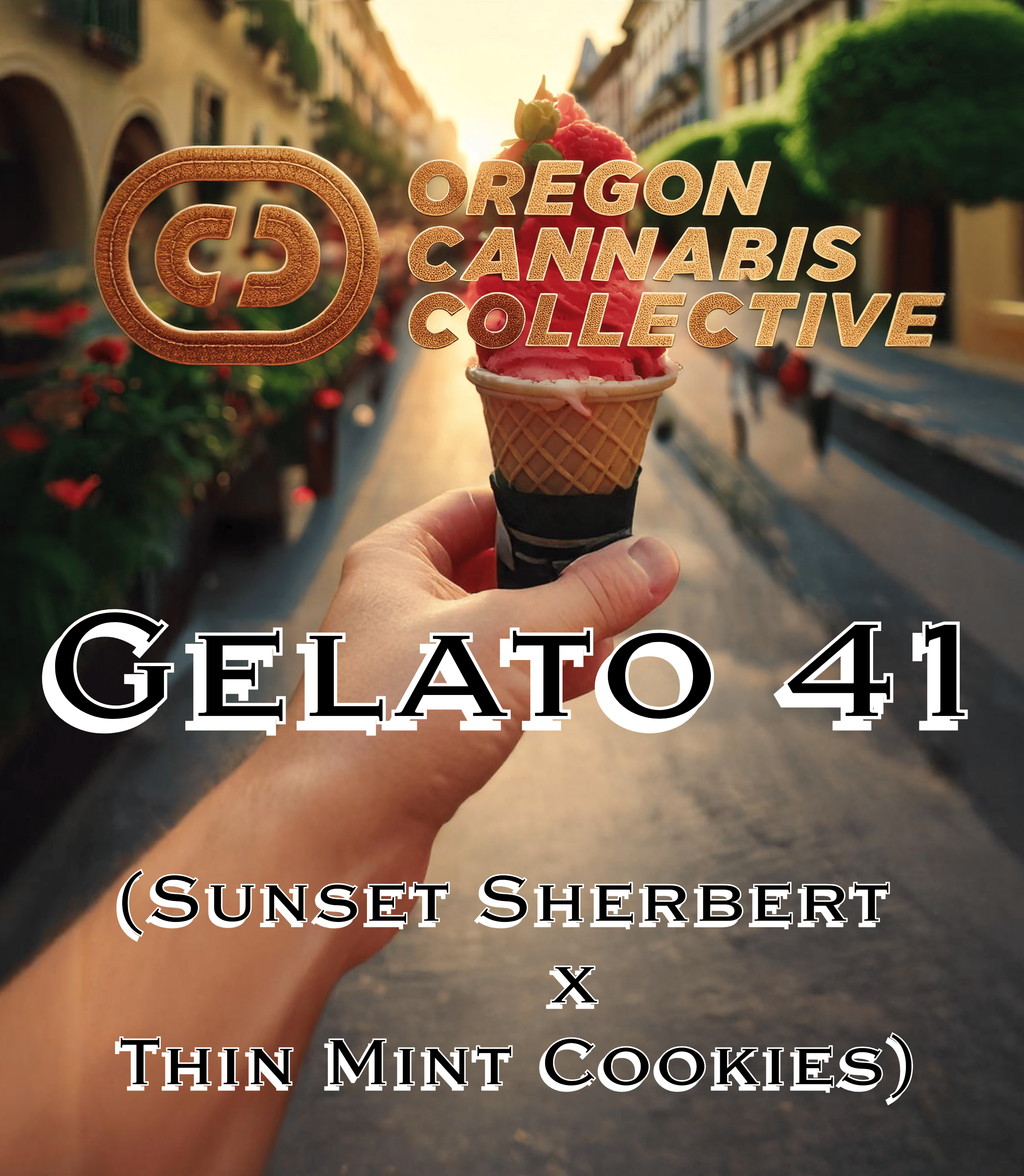 Photograph of product: Gelato #41 (OCC) - Deli - 28g