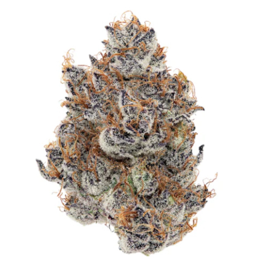 Photograph of product: STYROFOAM CUP EIGHTH