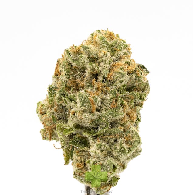 Photograph of product: Baklava - Eighth