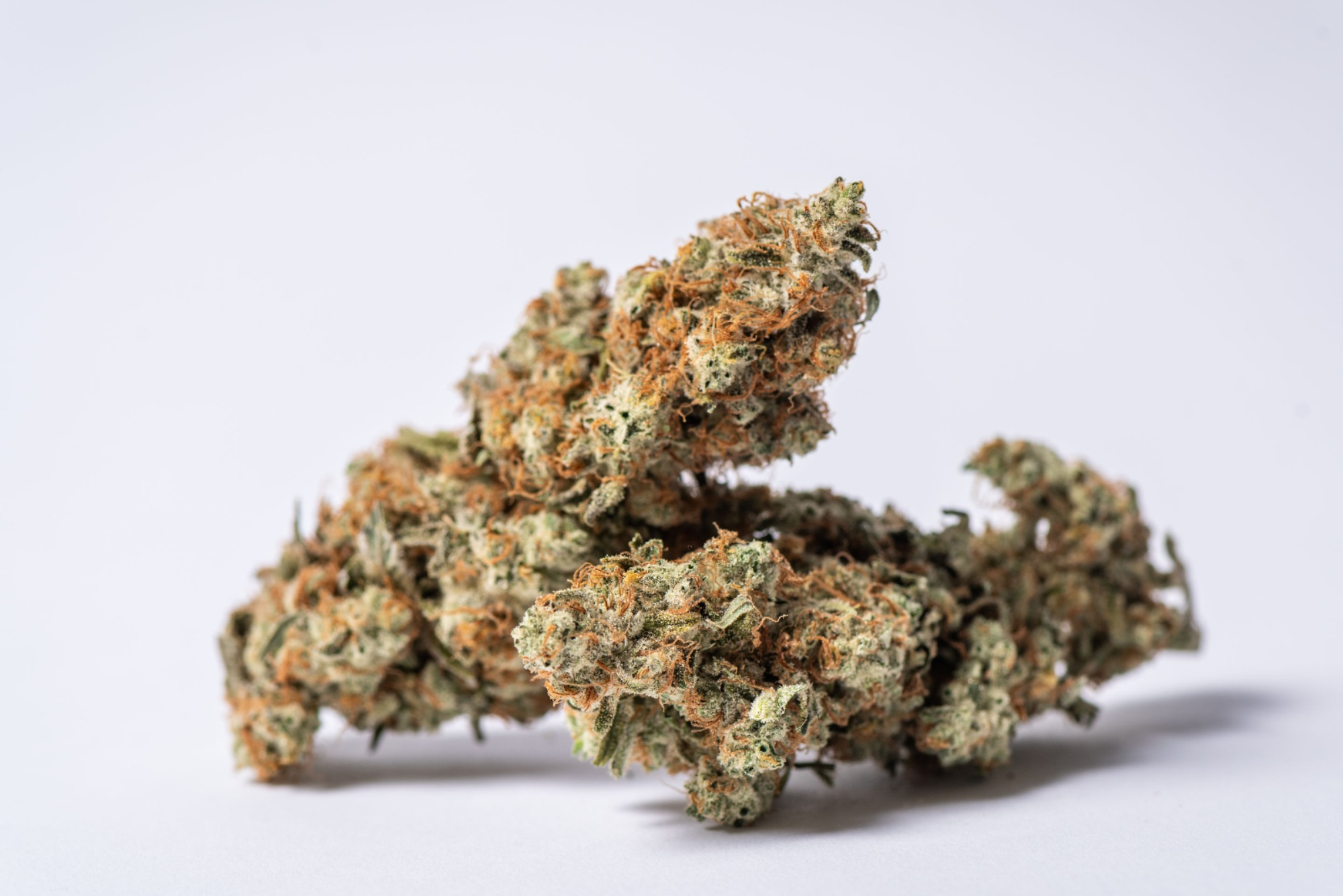 Photograph of product: Sundog - 14g