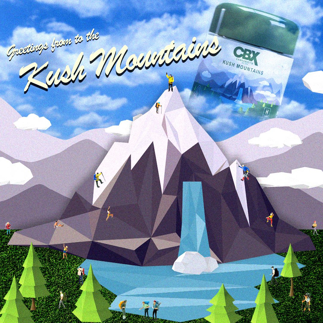 Photograph of product: CBX | Flower 3.5g | H | Kush Mountains