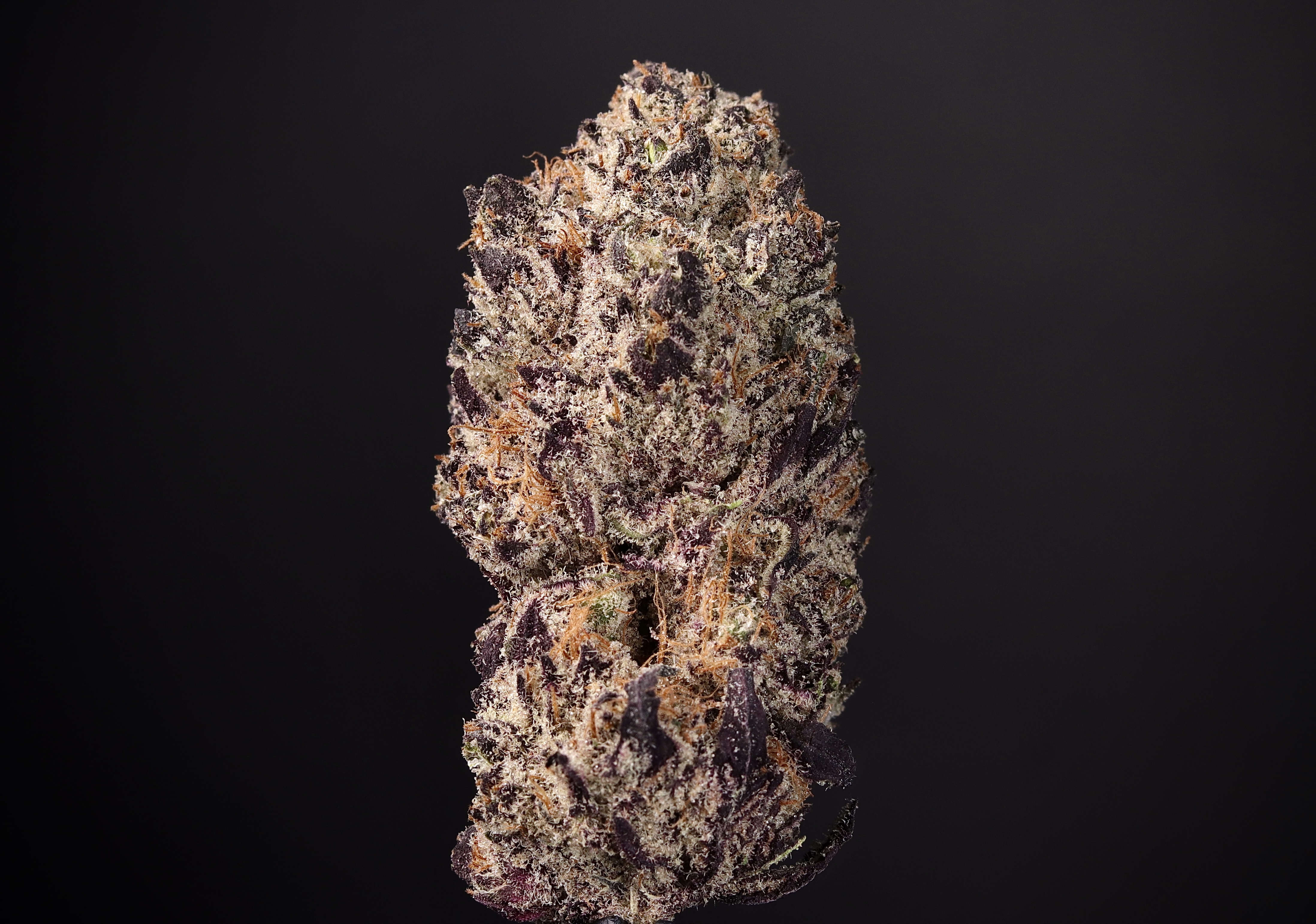 Photograph of Product: Randys Legacy - Landrace Cannabis Co. - 28g