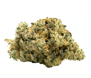 Photograph of product: AFTERNOON DELIGHT #4 | MINI BUDS | 7G