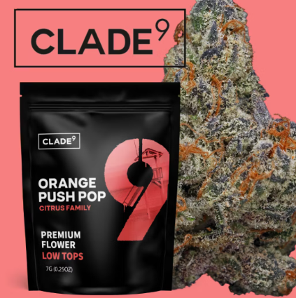 Photograph of product: Clade9 Flower 7g- Orange Push Pop