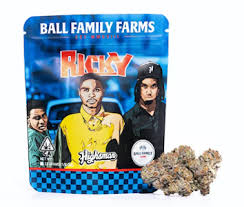 Photograph of product: Ball Family Farms Flower Ricky Baker - 4g