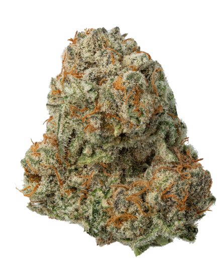 Photograph of product: ZIPS | London Jelly 28g