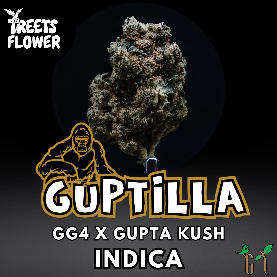 Photograph of product: Flower - Guptilla - Top Shelf - 28g