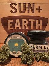 Photograph of product: ROSE QUEEN 1:20 CBD