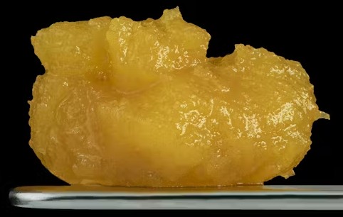 Photograph of product: GLOBS ZUSHI BADDER Oui'd 1G