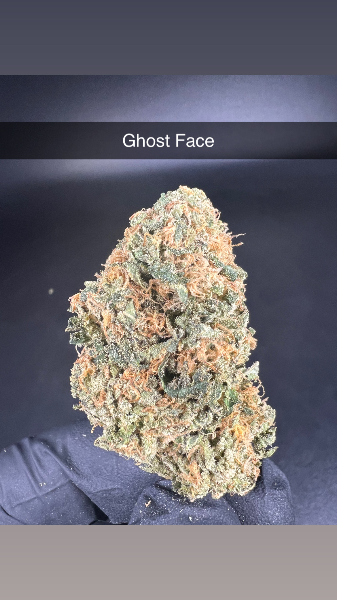 Photograph of product: Ghost Face - Flower - Oui'd - 28g