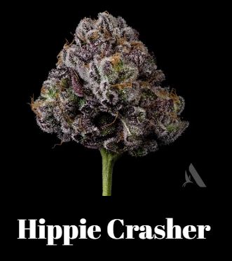 Photograph of product: Hippie Crasher Flower T28.99 (9-00583) - 3.5g