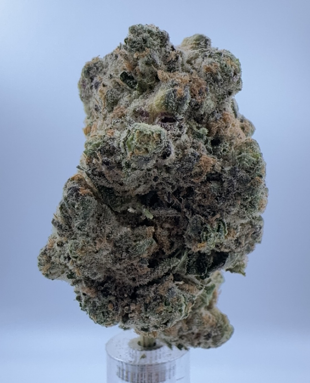 Photograph of product: Good Oui'd | Red Devil Runtz - 28g