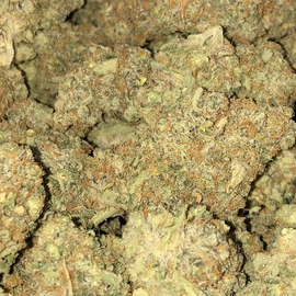 Photograph of product: Narnia (SugarTop)