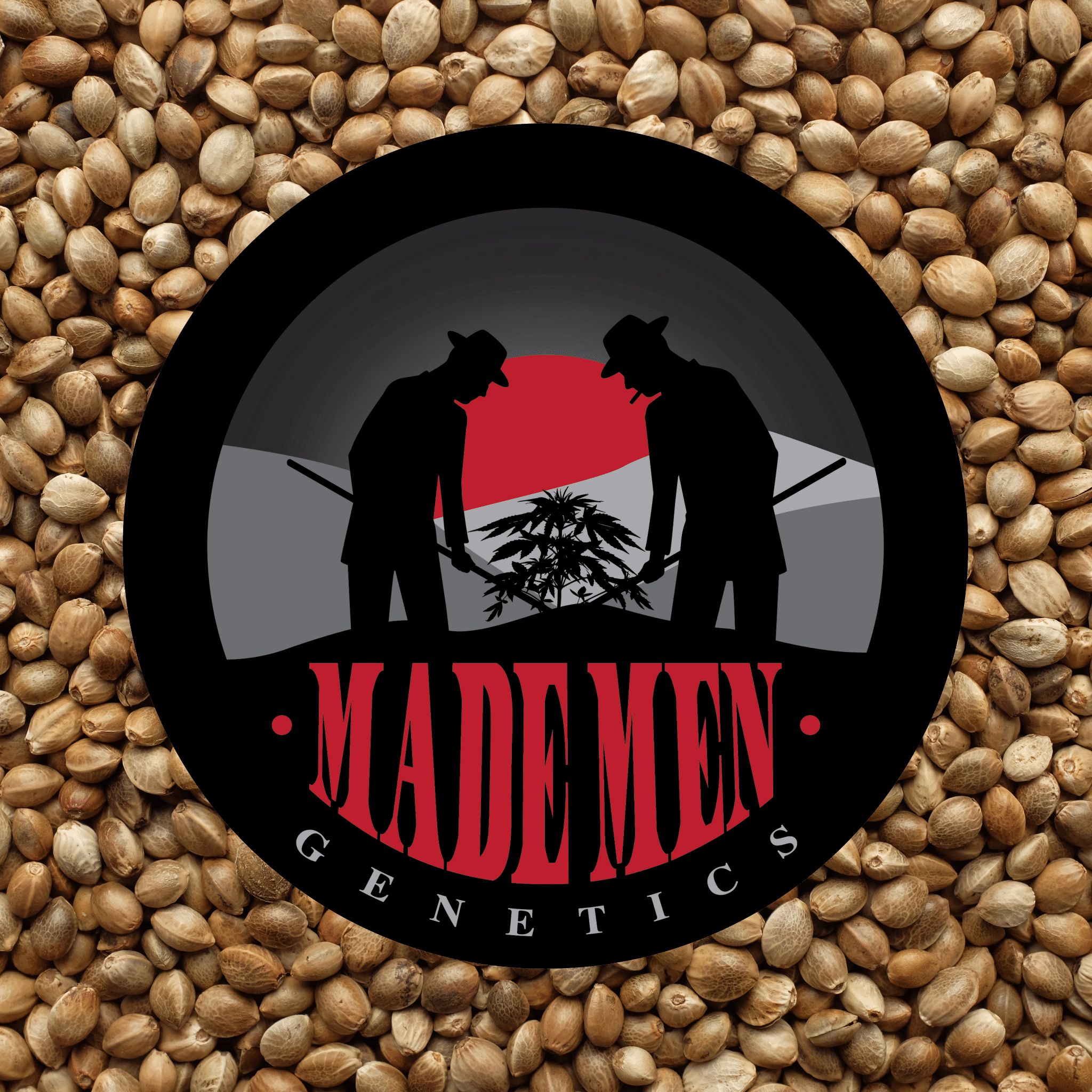 Photograph of product: Made Men Genetics: Regular Seeds (12 pack)