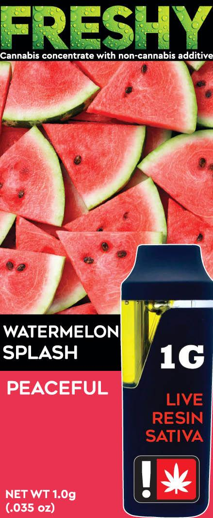 Photograph of product: Freshy 1g Disposable | Watermelon Splash