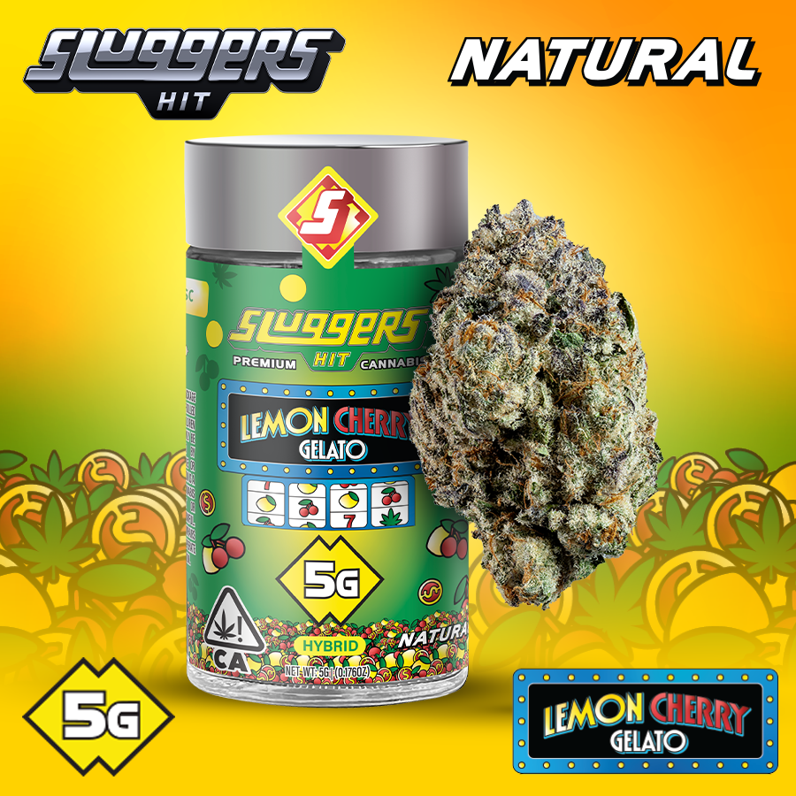 Photograph of product: LEMON CHERRY GELATO 5G JAR