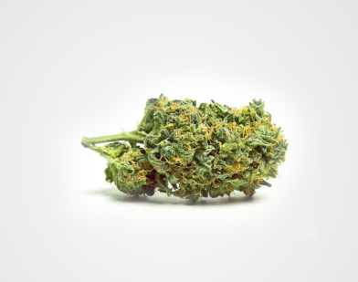 Photograph of product: NATURES GRACE - POWDER KEG (7G) (H)