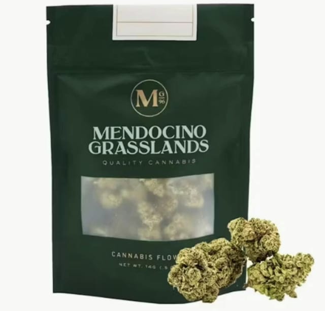 Photograph of product: Mango Mintality 14g Bag - 