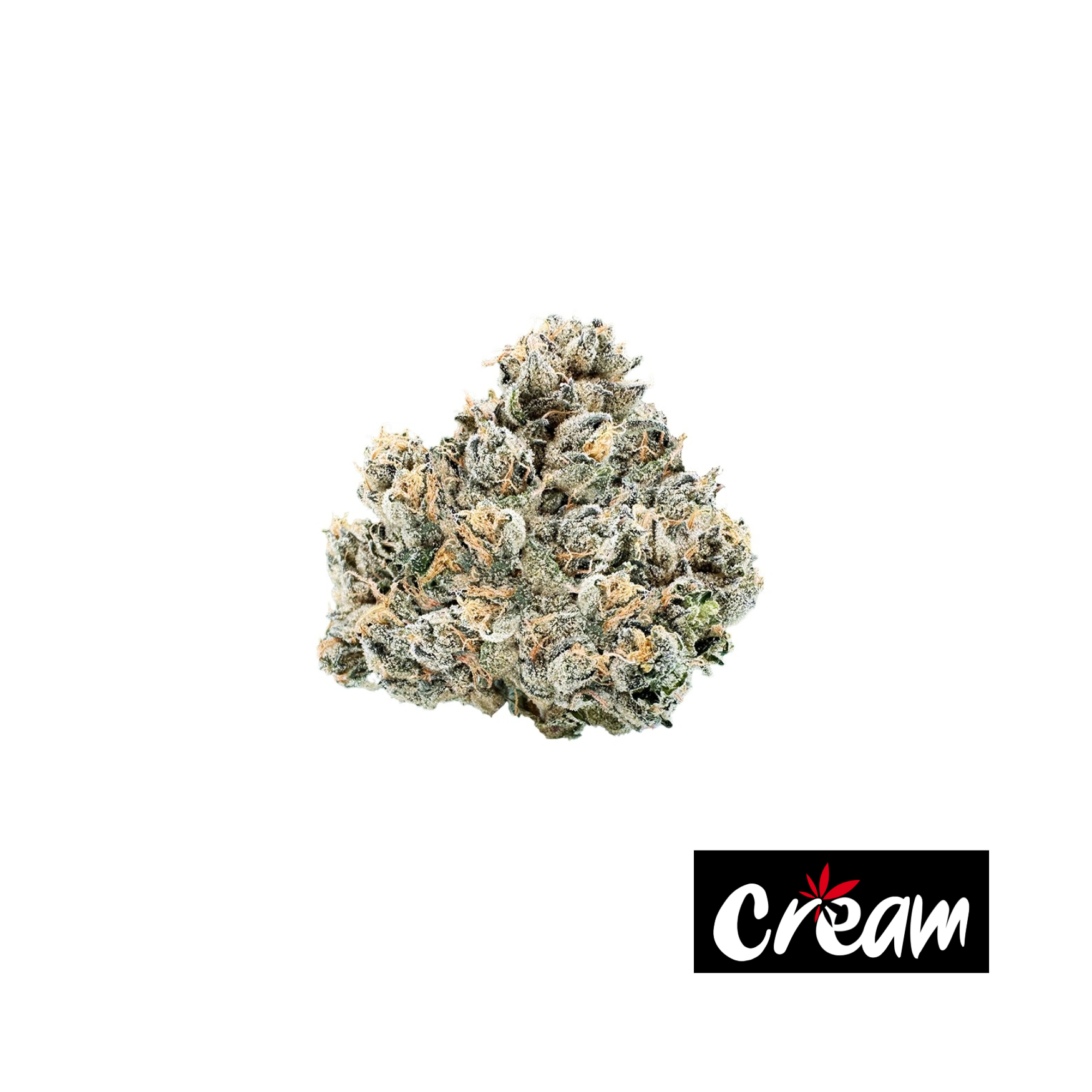 Photograph of product: VelcroZ - 3.5g