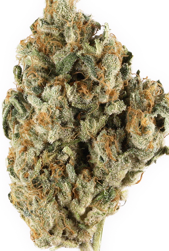 Photograph of product: Chili Verde I 3.5G  (TAX INCLUDED)