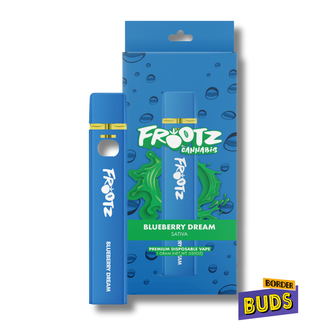 Photograph of product: Blueberry Dream | Frootz | 1g | Disposable