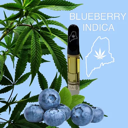 Photograph of product: High Coast Cartridge Blueberry 1 G