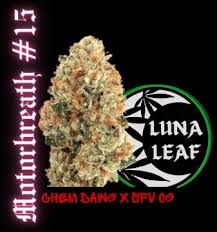 Photograph of product: Motorbreath #15 Live Resin