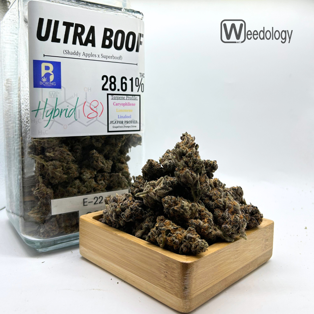 Photograph of product: Ultra Boof (S-H) - 14g