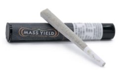 Photograph of product: Hulk Angry | 1g Pre-Roll