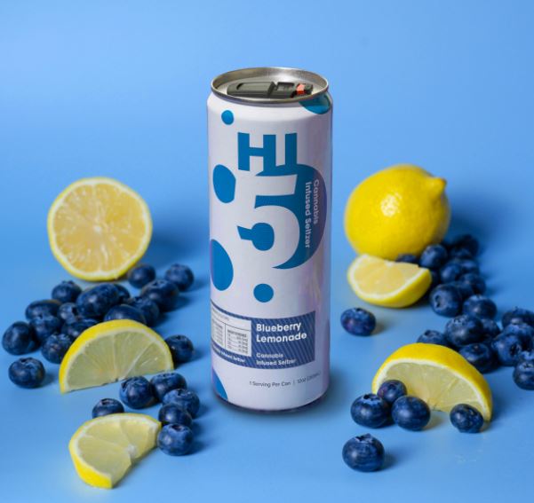 Photograph of product: Seltzer | Blueberry Lemonade | 20mg per can | 4pk