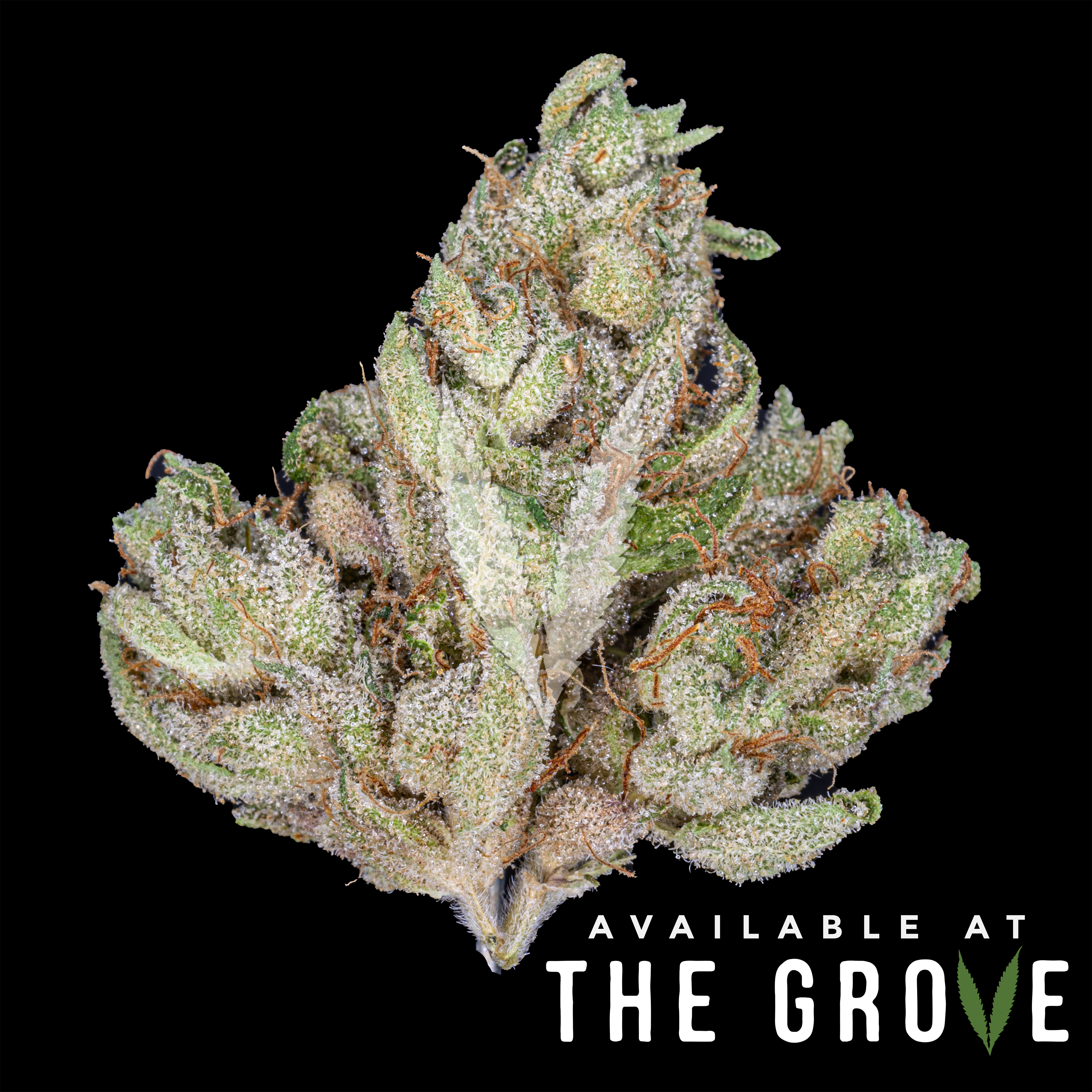 Photograph of product: BLEM | GWAVA 1/8ths - 3.5g