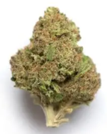 Photograph of product: Rainbow OG | Glorious Oui'd | Bulk Flower - 1g