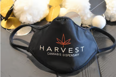 Photograph of product: Harvest - Mask Youth
