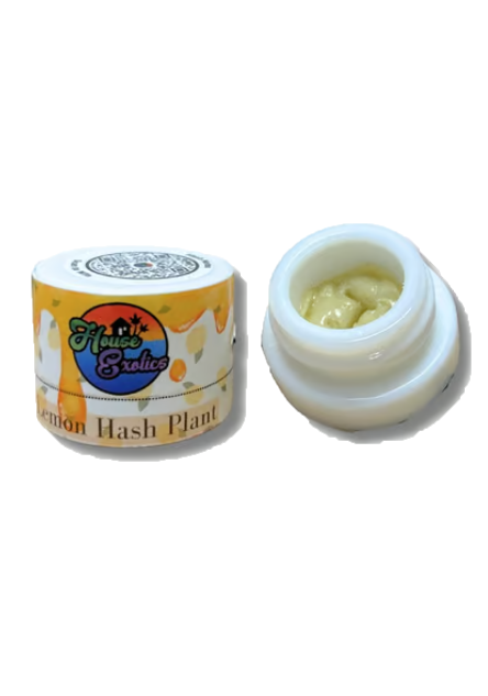 Photograph of product: House Exotics - Live au chocolat Rosin - Super Buff Cherry (H) (1.0g)