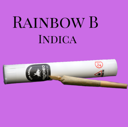 Photograph of product: Sun Grown Rainbow B. | 0.5g Preroll (I) | 00117 | Rodeo