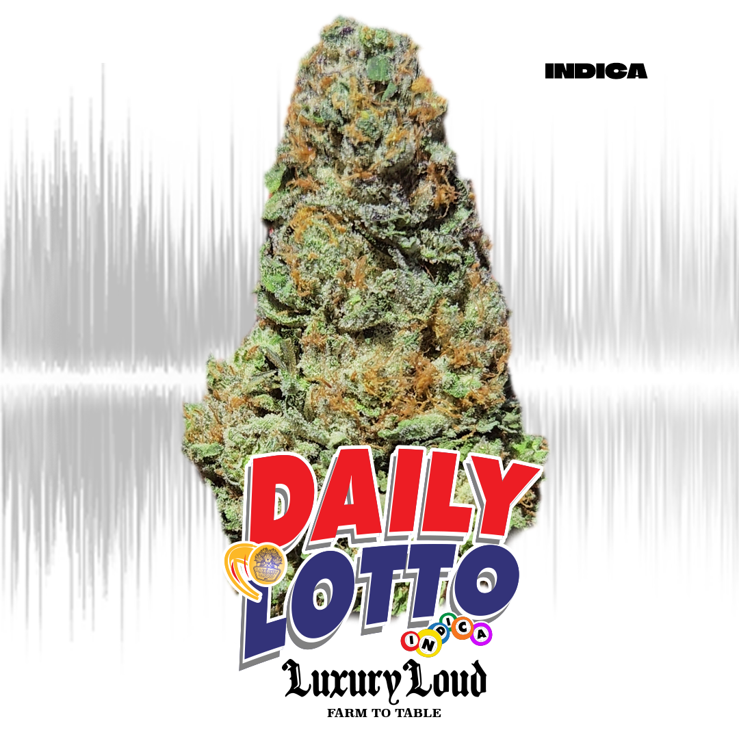 Photograph of product: Daily Lotto DUO