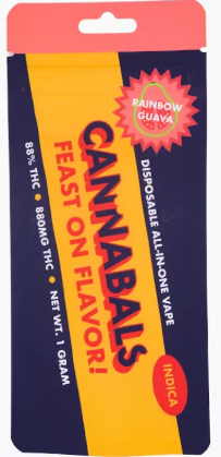 Photograph of product: Disposable | Rainbow Guava (I) Cannabals