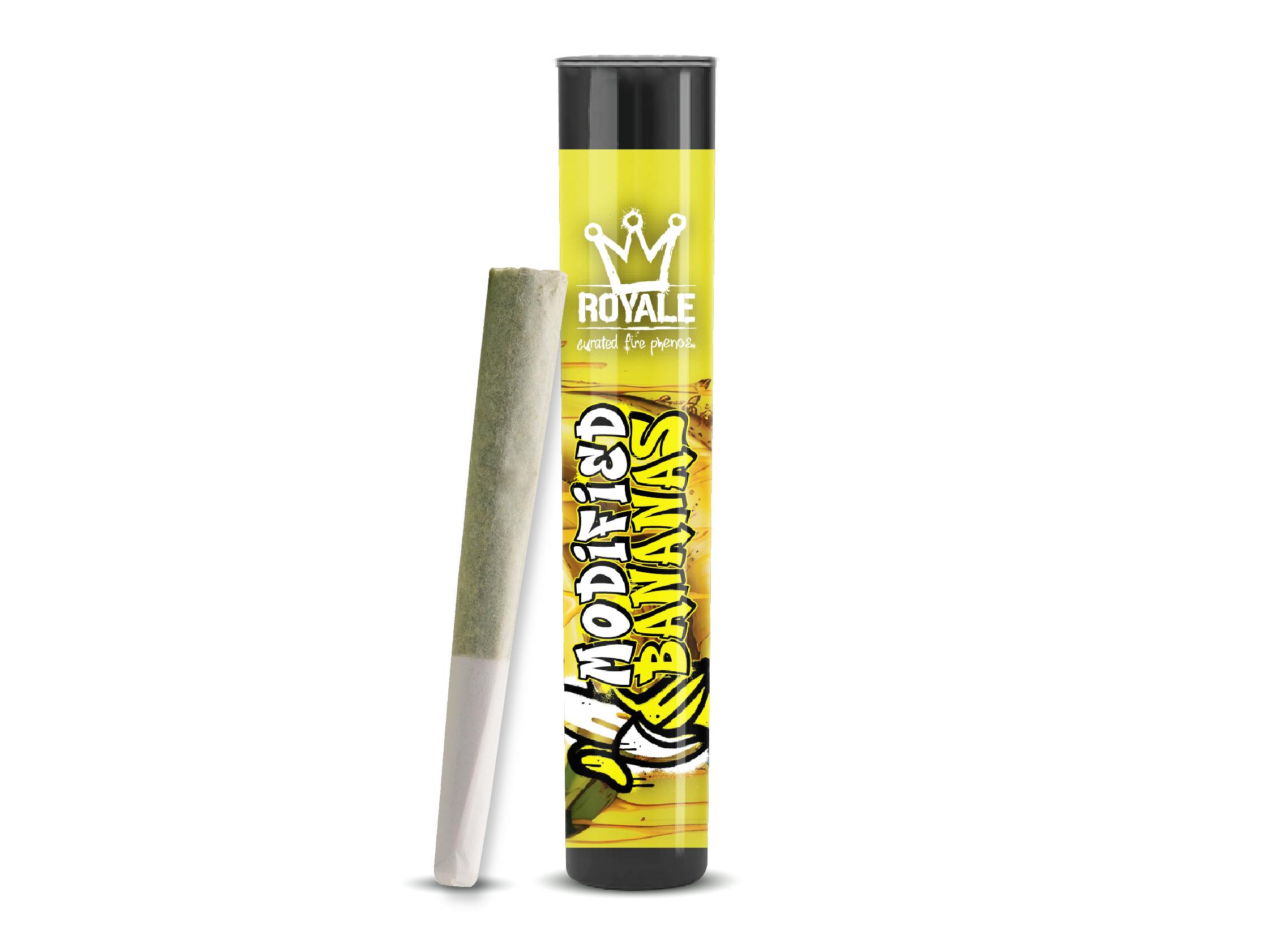 Photograph of product: Modified Banana Single
