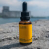 Photograph of product: Bison Bot - Full Spectrum Tincture - 3000mg (CBD)