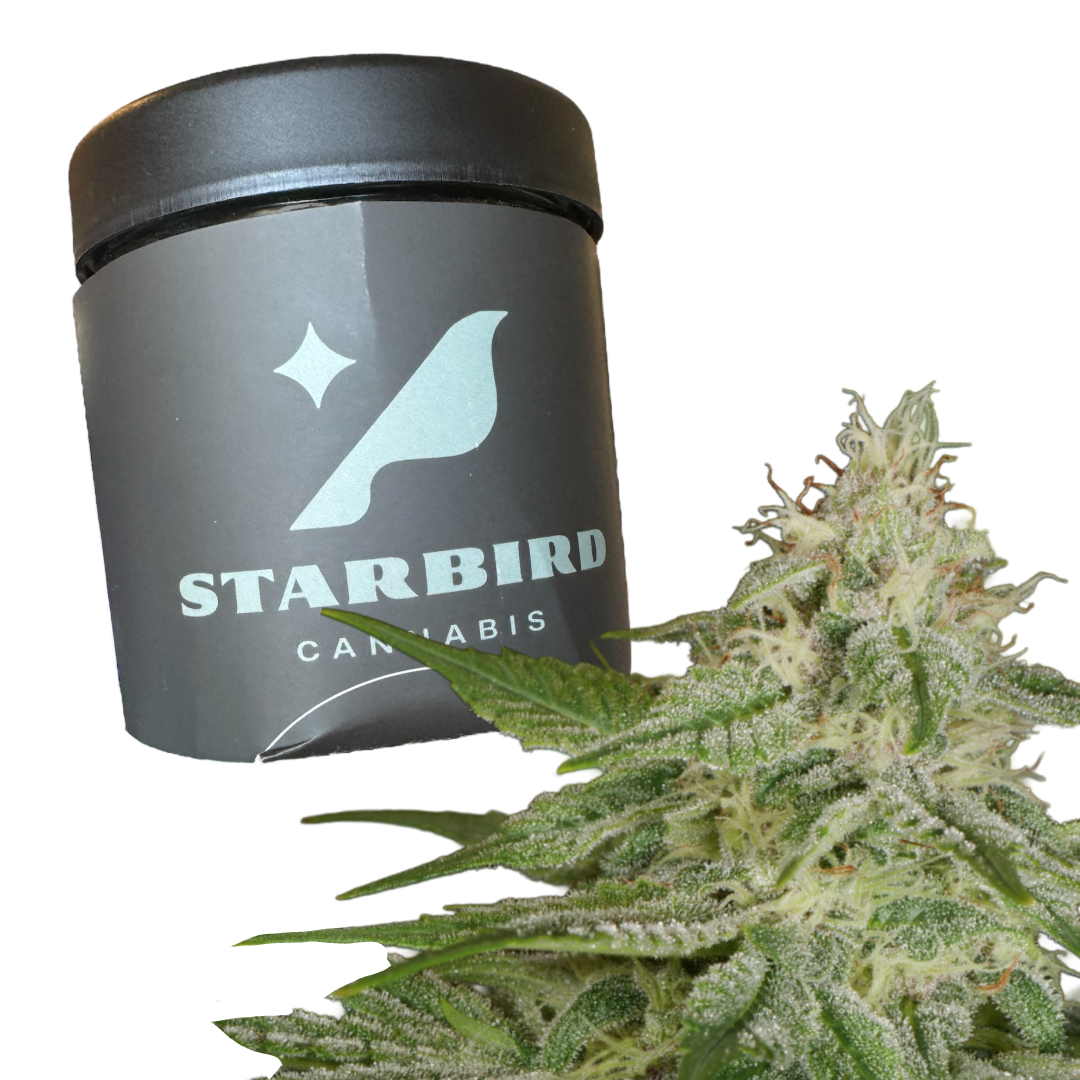 Photograph of product: Hazy Pupil - 28g - Kapnos