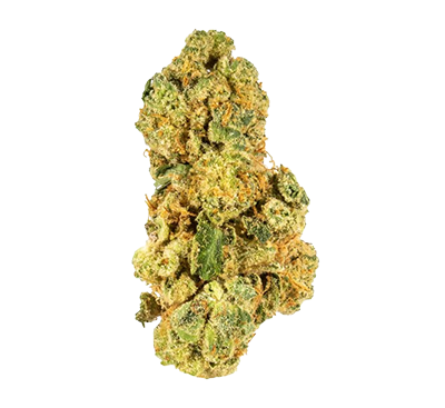 Photograph of product: Chronicseur Farms | First Class Funk | Deli-Style Flower - 14g